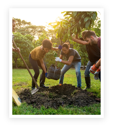 AdobeStock_164651619